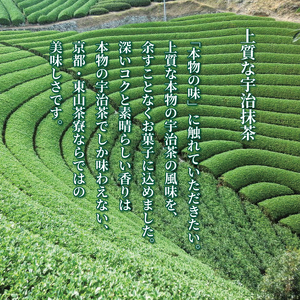 宇治 ほうじ茶 生 チョコレート 12粒  ( 京都 宇治 ほうじ茶 焙じ茶 生チョコ 洋風 和菓子 チョコ スイーツ 生 クリーム デザート 洋菓子 人気 贈答 ギフト お歳暮 冷凍 5000円 五