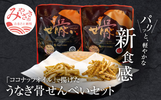 
国産うなぎ使用 うなぎ骨せんべいセット(骨せんべい(塩味30g)×4袋・骨せんべい(たれ味30g)×2袋)_M069-002_01
