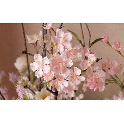 ふるさと納税 北上市 展勝地の桜なみき |  | 03