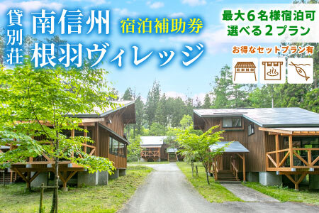 星空が自慢！BBQ 温泉 釣りプラン有★根羽ヴィレッジ 宿泊補助券 (15,000円分) コテージ 旅行