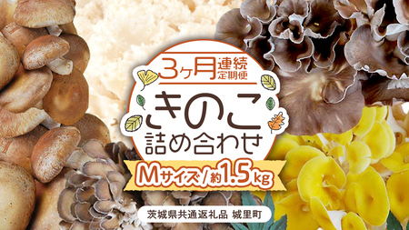 《 ３ヶ月 連続定期便 》 きのこ の 詰め合わせ Mサイズ 約1.5kg （茨城県共通返礼品 城里町） 定期便 キノコ 舞茸 あわび茸 たもぎ茸 しいたけ 花びら茸 セット 鍋 炒め物 [CX006sa]
