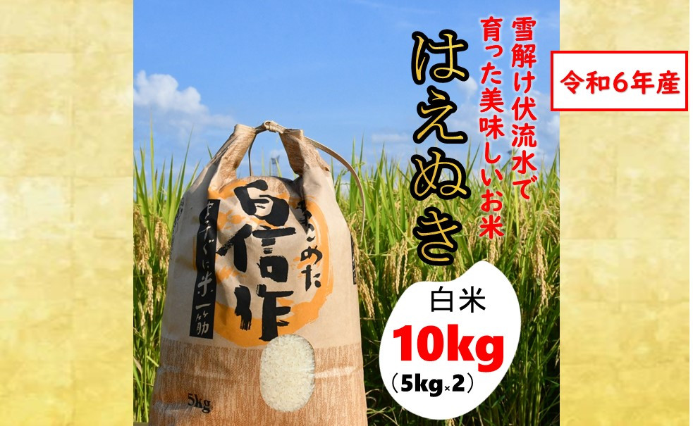 
            人気のブランド米　はえぬき　白米　10kg（令和6年山形県飯豊町産）
          