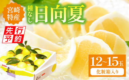 【先行予約】【期間・数量限定】宮崎特産 日向夏 果物 柑橘 フルーツ