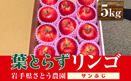 りんご さとう農園の葉とらずリンゴ サンふじ 5kg 葉とらず フルーツ 果物 おやつ 冬 旬 旬のフルーツ 旬の果物 お取り寄せ 蜜入り 産地直送 岩手 盛岡市 予約 2025年