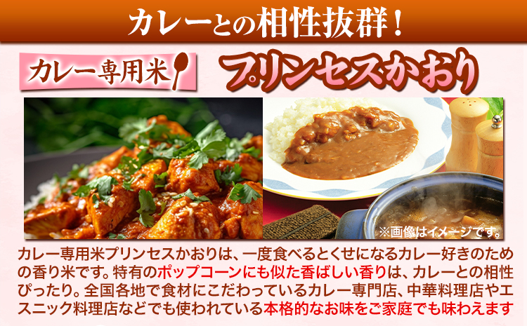 カレー専用米 プリンセスかおり 5kg 有限会社 田中農場《90日以内に出荷予定(土日祝除く)》鳥取県 八頭町 米 お米 ご飯 カレー 送料無料
