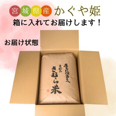 ふるさと納税 東松島市 【令和7年産】 新米 宮城県産 超稀少品種 かぐや姫 玄米 30kg  東松島市 天授のお米 米 |  | 03