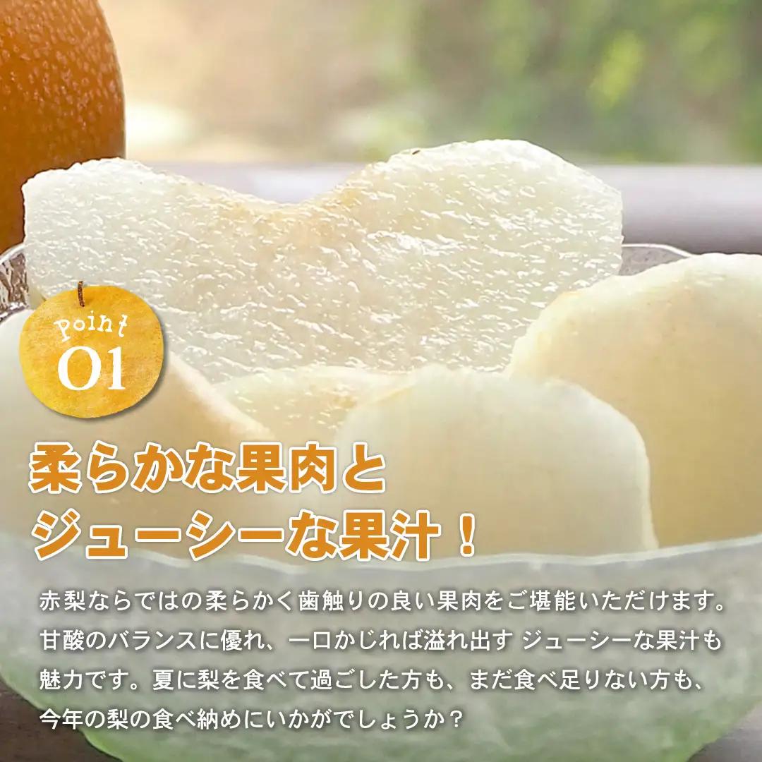 Y1050 新興梨　家庭用 5kg