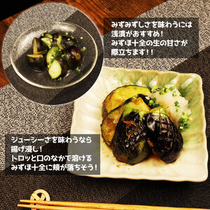 なす 1kg 約15個 みずほ十全 なす なす なす なす なす なす nozofarm002