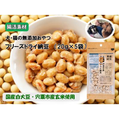 ふるさと納税 宍粟市 腸活素材　犬・猫の無添加おやつ　フリーズドライ納豆　O22