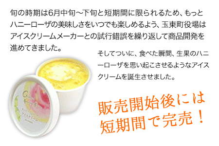 糖度17度の甘さ♪ハニーローザアイスクリーム 120ml×8個《30日以内に出荷予定(土日祝除く)》 熊本県玉名郡玉東町 すもも ハニーローザ アイス ぷらっとぎょくとう