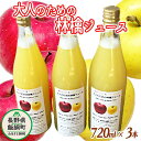 【ふるさと納税】 大人のための りんごジュース ( 霧中 サンふじ シナノゴールド ブレンド ) 720ml × 3本 果汁100% 井澤農園 沖縄県への配送不可 エコファーマー認定 長野県 飯綱町 〔 飲料 果汁飲料 りんご リンゴ 林檎 ジュース 信州 9000円 〕