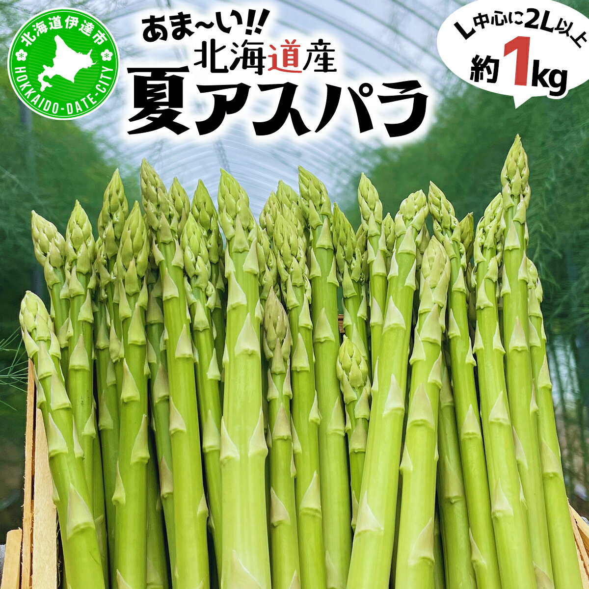 【ふるさと納税】＜先行予約＞あまーい！北海道産夏アスパラ(A品) 1kg【ffk-003】北海道 伊達市 野菜 新鮮 アスパラガス ふるさと納税 送料無料
