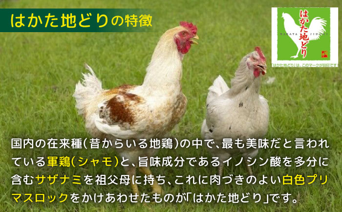 はかた地鶏モモムネセット 2kg（1kg×2p）＜株式会社MEAT PLUS＞那珂川市 [GBW111]