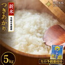 【ふるさと納税】 【 新米 】先行予約 令和6年産 田村市産 つきあかり 5kg 米 白米 精米 単一米 国産 精米仕立てを発送 福島県 田村市 いせや農園