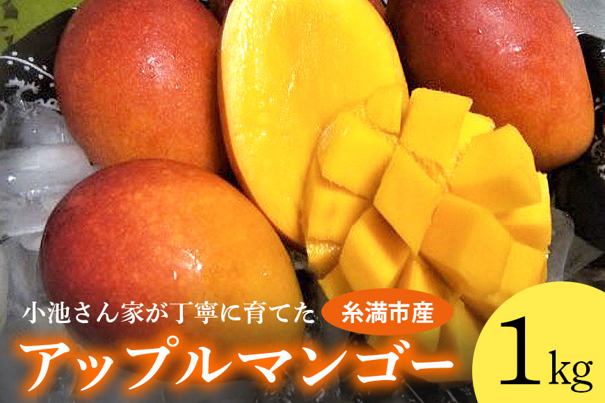 
            小池さん家が丁寧に育てた アップルマンゴー 1kg 沖縄県産 マンゴー アーウィンマンゴー 1キロ 国産 完熟マンゴー 果物 南国 くだもの フルーツ 完熟 夏 旬 沖縄 お取り寄せ 産地直送 農家直送 甘い 濃厚 糸満市 
          