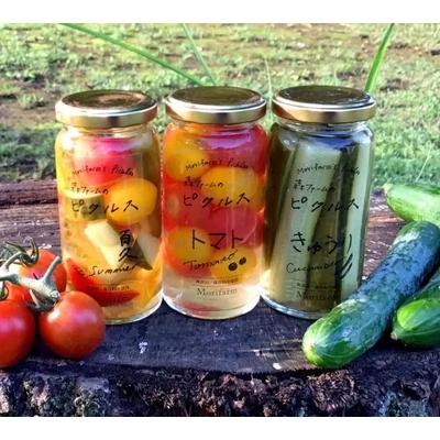 ふるさと納税 古河市 【無添加】季節の森ファームのピクルス 6個セット | ピクルス ぴくるす 野菜ソムリエ _BI89 |  | 02