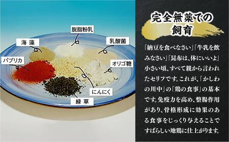 超新鮮＆美味！大津市で飼育した近江しゃもor名古屋コーチン！