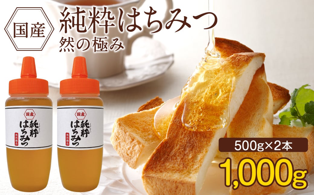 国産 純粋はちみつ 然の極み 1kg（500g×2本）セット（とんがり容器）【2025年6月発送】国産 百花 蜂蜜 はちみつ ハチミツ