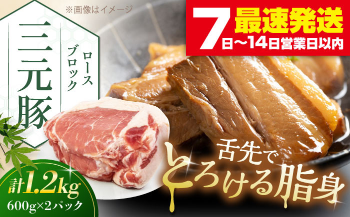 
            平田牧場 ロースブロック 1.2kg (600g×2P) 《喜茂別町》【平田牧場】 肉 豚肉 ロース ブロック ローストポーク 煮豚 酢豚 煮物 冷凍配送 北海道 平田牧場 三元豚 [AJAP071] 18000 18000円
          