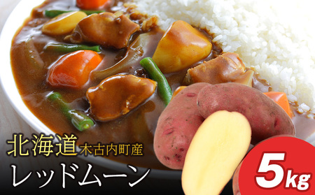 【10月発送！】【秋山農園】北海道産 レッドムーン5kg 野菜 いも 芋 じゃがいも 北海道ふるさと納税