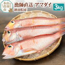 【ふるさと納税】漁師直送 甘鯛 (あまだい) 秋田県産 3kg (配送期間 5月～10月末予定、期間外は次期予約扱い)