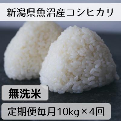 ふるさと納税 十日町市 【毎月定期便】新潟県魚沼産コシヒカリ「山清水米」無洗米10kg全4回