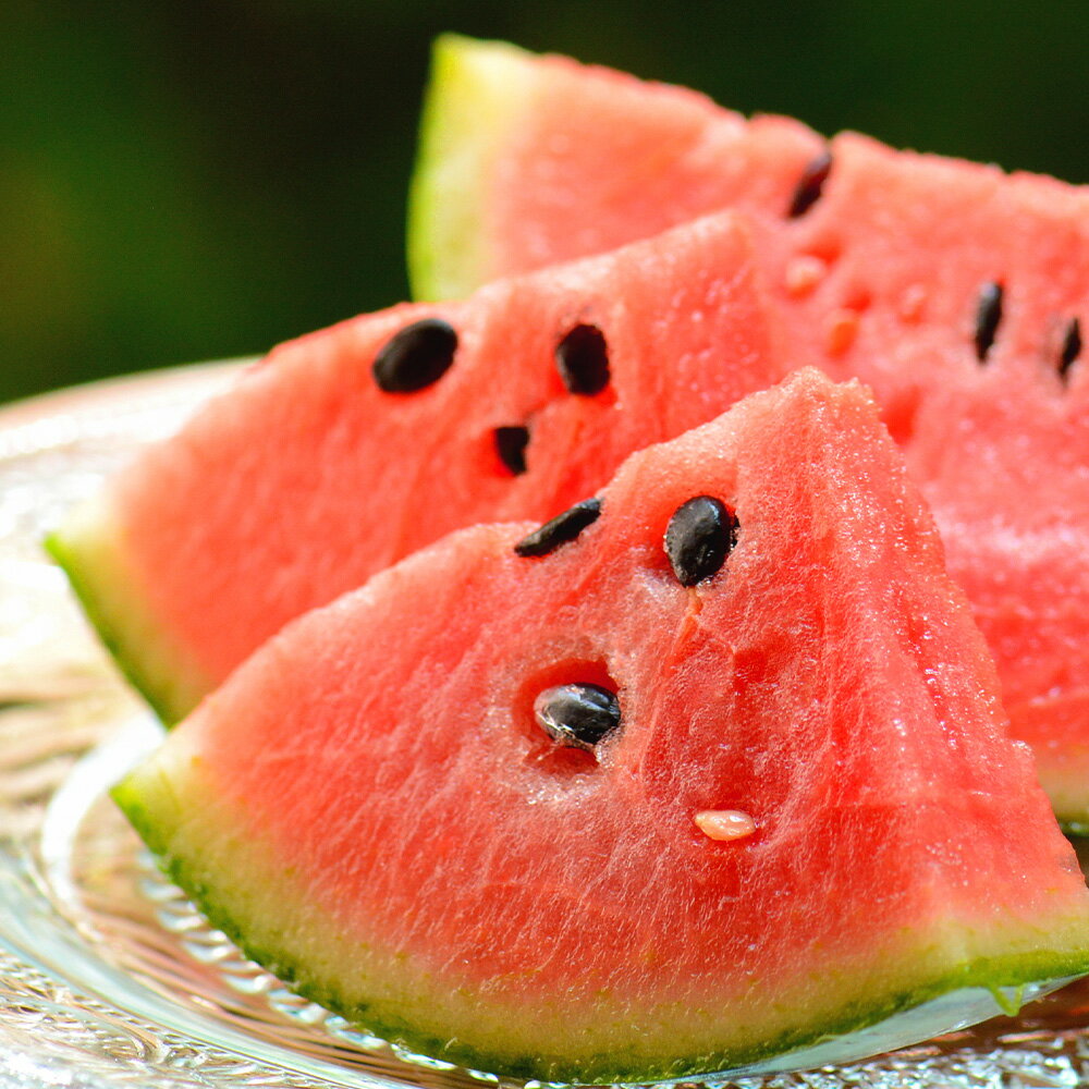 【ふるさと納税】小玉すいか 1玉入り 3Lサイズ 約1.5kg 小玉スイカ こだますいか こだまスイカ 小玉 すいか スイカ 西瓜 フルーツ 果物 くだもの デザート 常温 九州 熊本県 益城町 送料無料 【2026年4月下旬～8月上旬発送予定】