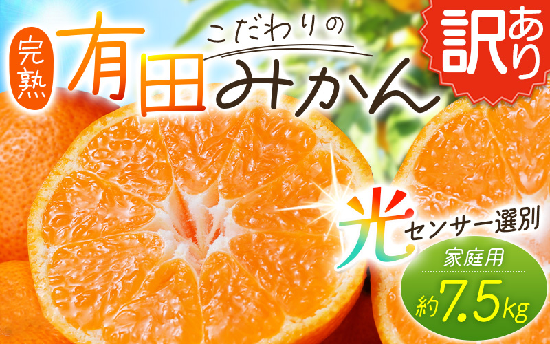 【訳あり】農家直送 有田みかん 約7.5kg ご家庭用 サイズ混合 ※2026年11月中旬～2027年1月より順次発送予定（お届け日指定不可）※北海道・沖縄・離島への配送不可 訳ありみかん みかん ミカン 蜜柑 柑橘 フルーツ 果物 くだもの 温州みかんサイズ混合 訳ありみかん 温州みかん 有機質肥料100% ふるさと納税 柑橘 有田 産地直送【nuk157F】