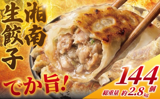餃子 144個 (48個 × 3 パック) 計2.8kg 肉汁たっぷり 大きい 国産 ブランド豚 ルイビ豚 湘南餃子 焼き餃子 冷凍餃子 生餃子 冷凍 餃子ご飯 餃子おかず 冷凍食品 中華餃子 餃子おつまみ 手作り餃子 自家製餃子 サノフーズ 神奈川 湘南 藤沢