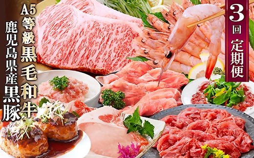 
                  定期便3回配送　黒毛和牛・黒豚&タカエビ　 DD5-0001_ 肉 豚肉 牛肉 A5等級 黒毛和牛 サーロインステーキ  ネギトロ 【1573840】
                