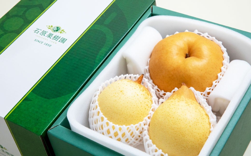 
            あたご梨 1～2玉 ・ 鴨梨 （ヤーリー） 2～3玉 詰合せ 合計約2kg 贈答箱 ／ 愛宕梨 梨 なし ナシ 果物  【2025年11月下旬～12月下旬発送予定】
          