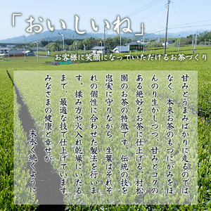 お茶 「大地の茶」500g (100g×5袋) お茶の葉 日本茶 緑茶 茶葉 セット 富士山麓 コク中蒸し製法 こだわり 美味しい 銘茶 煎茶 ギフト プレゼント 飲み物 富士のやぶ北茶 静岡茶 お茶