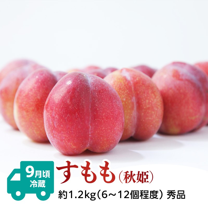 【発送月固定】山形旬彩！こだわりフルーツ定期便全３回Ａ