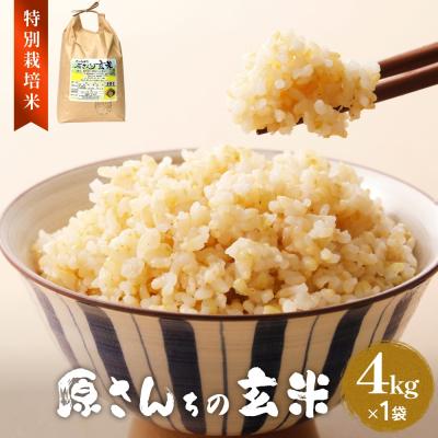 ふるさと納税 玖珠町 令和7年産 原さんちの玄米4kg にこまる