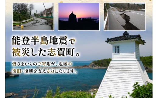 12月発送【能登半島 漁協直送！】ボイル済 香箱ガニ 10尾 [JF西海 石川県 志賀町 AM4228-12gatsu] 蟹 カニ かに ズワイガニ セコガニ メス 内子