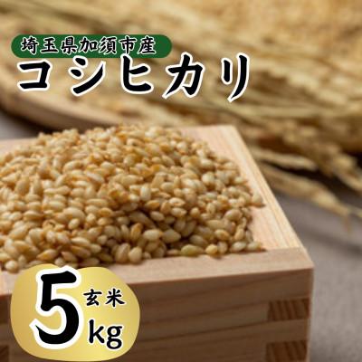 ふるさと納税 加須市 【先行受付】令和8年産　水野農園のコシヒカリ　玄米5kg(5kg×1袋)