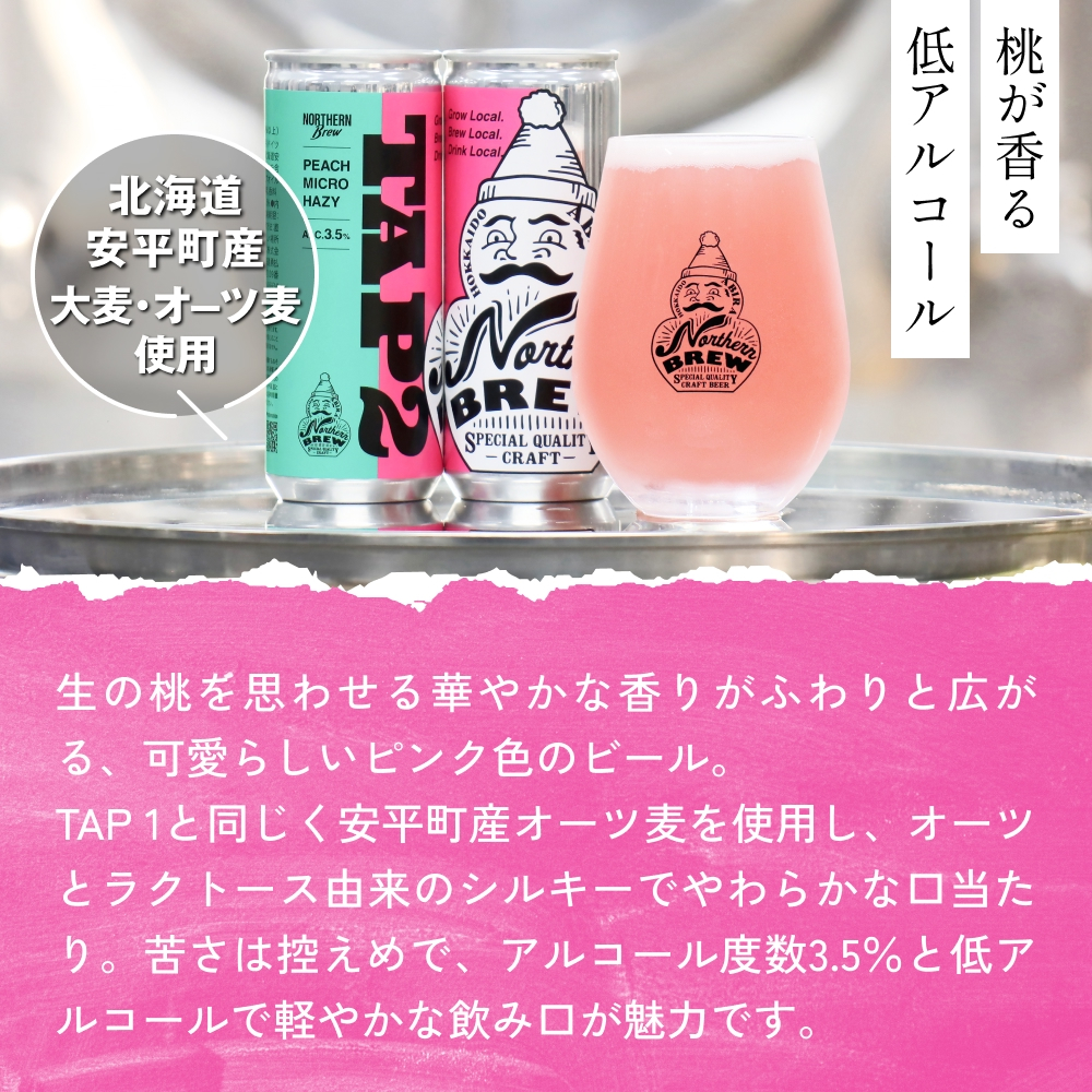 クラフトビール 250ml×12本 NORTHERN BREW ＜TAP2(PEACH MICRO HAZY)＞