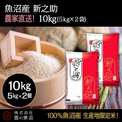 ふるさと納税 十日町市 令和7年産!魚沼産 新之助【農家直送!】精米5kg×2袋