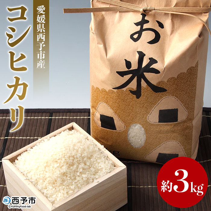【ふるさと納税】【先行予約】＜愛媛県西予市産 お米 コシヒカリ 約3kg＞ コメ 白米 精米 ご飯 甘味 旨味 つや 粘り 特産品 愛媛県 西予市 【常温】『2026年9月末頃より順次発送予定』