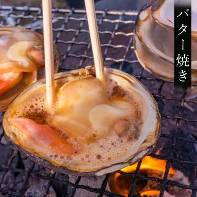 ふるさと納税 北斗市 北斗市産　殻付きほっきの詰合わせ |  | 01