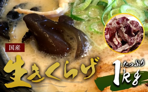 国産 生きくらげ 1kg（ご家庭用）【2026年5月下旬～6月下旬迄発送予定】