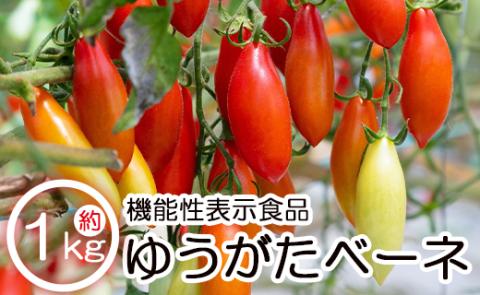 機能性表示食品 ミニトマト ゆうがたベーネ 約1kg - ミニトマト プチトマト フルーツトマト ギフト のし対応 高糖度 お歳暮 御歳暮 贈答用 贈り物 is-0010