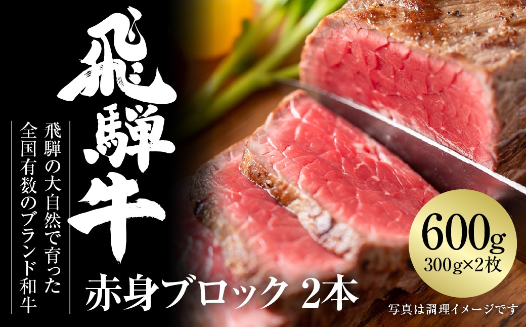 
                  飛騨牛 赤身ブロック[塊] 600g（300g×2） 冷凍真空パック | 肉 お肉 ローストビーフ 煮込み 焼肉 焼き肉 やきにく BBQ 黒毛和牛 和牛 人気 おすすめ 牛肉 ギフト お取り寄せ [MZ021] 
                