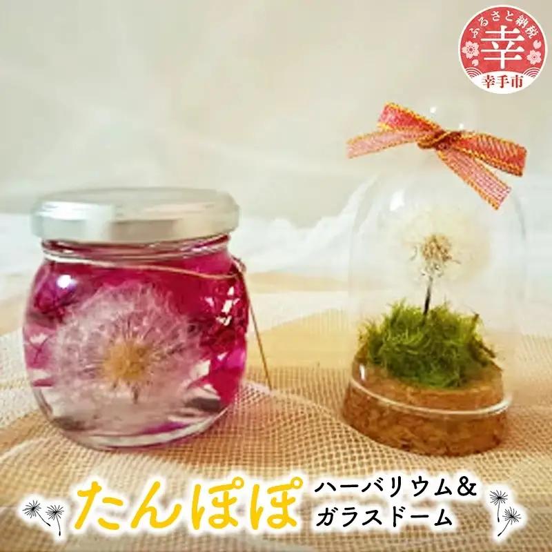 たんぽぽハーバリウム™＆ガラスドーム - ハーバリウム ガラスドーム たんぽぽ 綿毛 インテリア ご自宅用 ギフトお祝い 贈り物 埼玉県 幸手市