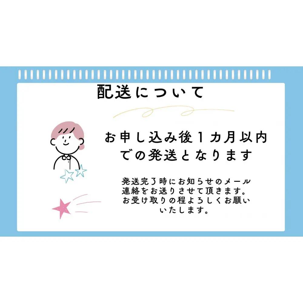 【虹色Farm】ヘラクレスオオカブト 成虫ペア(オス・メス各1匹)｜京都 ヘラクレス 人気
