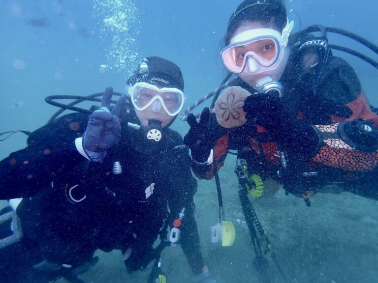 【ふるさと納税】だいびんぐしょっぷ海家「半日体験ダイビング」【1701529】