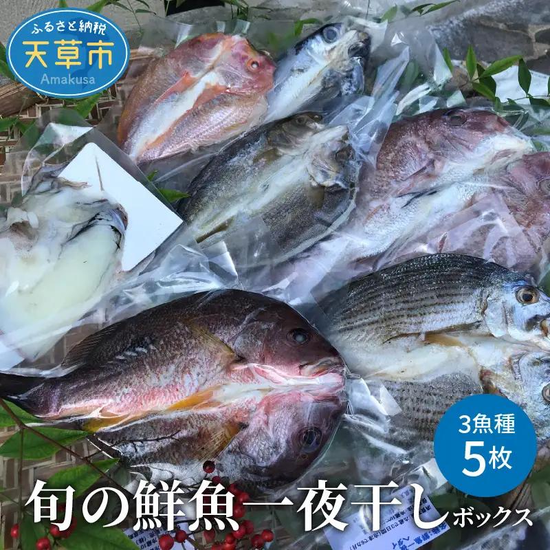 S059-007A_旬の鮮魚一夜干しボックス 3種5枚セット 干物 / 魚 一夜干し 干物