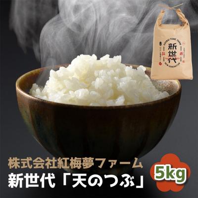 ふるさと納税 南相馬市 新世代「天のつぶ」5kg×1袋　精米【0402001】