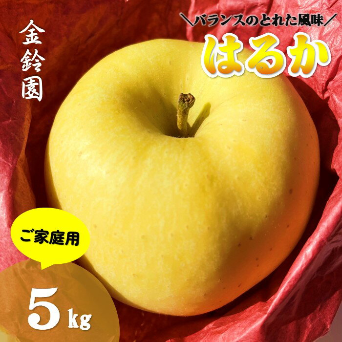 【ふるさと納税】＼予約受付 11月下旬より発送開始予定／【北上市産 りんご 】 はるか [ 家庭用 ] 5キロ (約13〜18玉) リンゴ 5kg 国産 産地直送 フルーツ 果物 岩手県 北上市 D0445 金鈴園