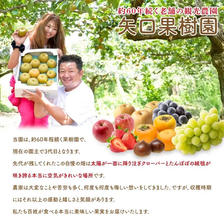 【8月中旬より発送】【数量限定】訳あり 甘梨（なし） 約3kg（茨城県共通返礼品／かすみがうら市）（FW-8）